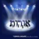Yisroel Adler - Oirois (CD)